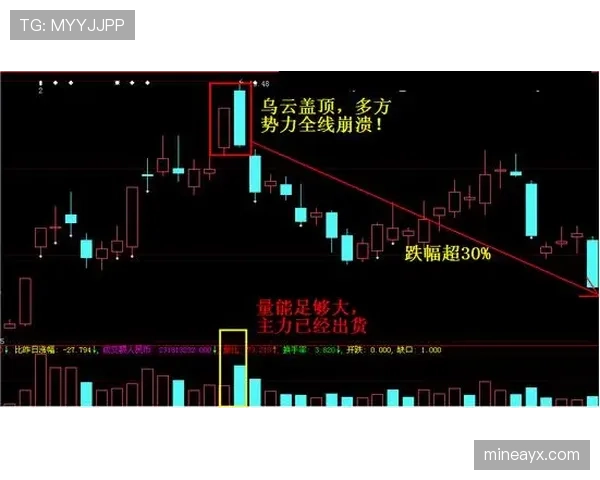 主力框架稳定，但山东泰山替补深度是否足够？